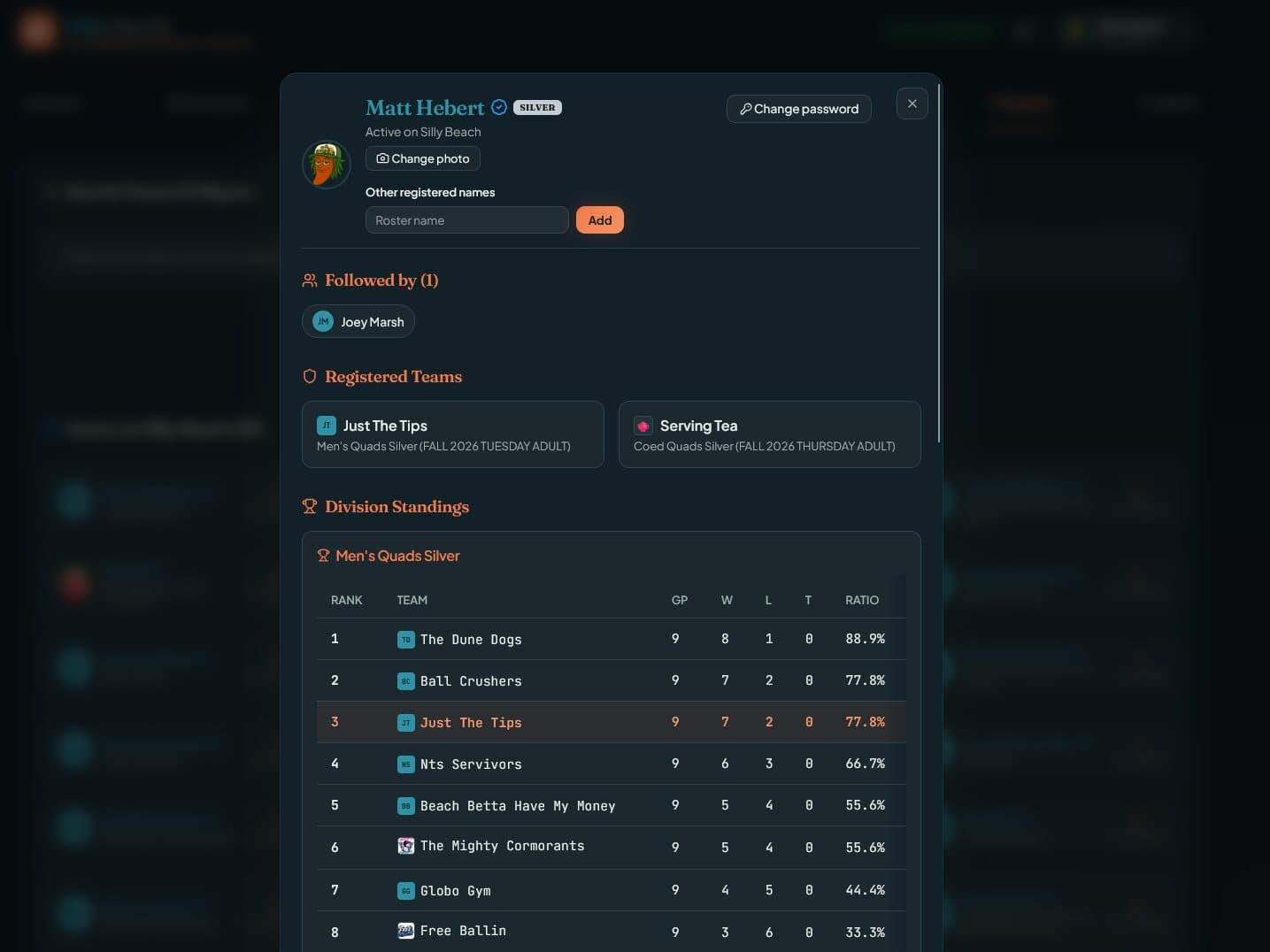 A Silly Beach player profile in dark mode, listing the player's teams and their division standings.